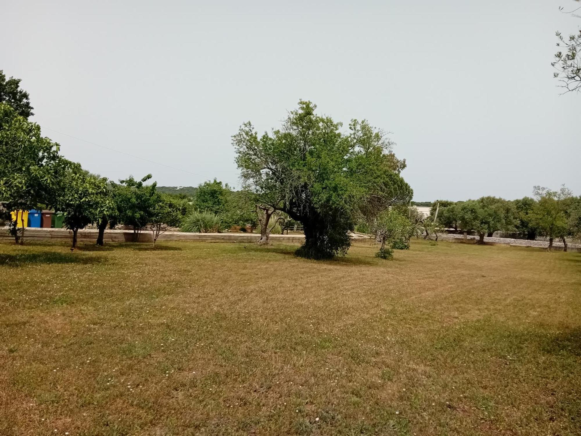 Villa Il Leccio - Trulli Cisternino Exterior foto